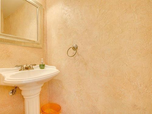 Powder room - 102-273 Ch. Des Grappes, Piedmont, QC - Indoor Photo Showing Bathroom