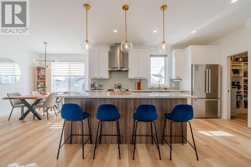 9 Ballylee Crescent, St. John'S, NL - Indoor Photo Showing Kitchen With Upgraded Kitchen