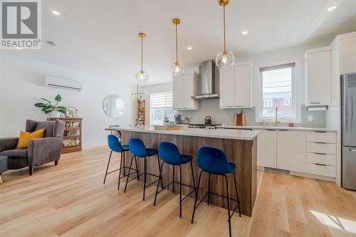 9 Ballylee Crescent, St. John'S, NL - Indoor Photo Showing Kitchen With Upgraded Kitchen