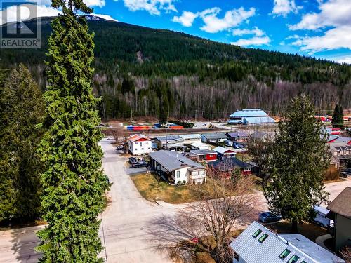 108 Ford Street, Revelstoke, BC - Outdoor With View