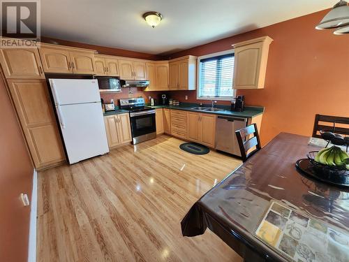 30 Clevedon Crescent, Paradise, NL - Indoor Photo Showing Kitchen With Double Sink