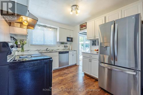 456 Regal Drive, London, ON - Indoor Photo Showing Kitchen