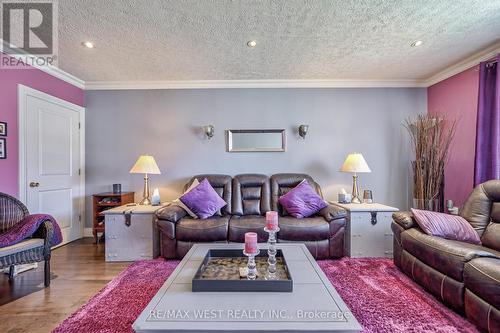 23 Fraser Avenue, Brampton, ON - Indoor Photo Showing Living Room