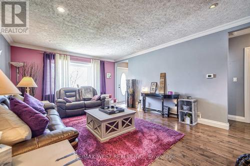 23 Fraser Avenue, Brampton, ON - Indoor Photo Showing Living Room