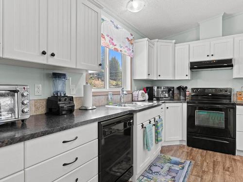 2715 Fraser Road, North Shuswap, BC - Indoor Photo Showing Kitchen With Double Sink