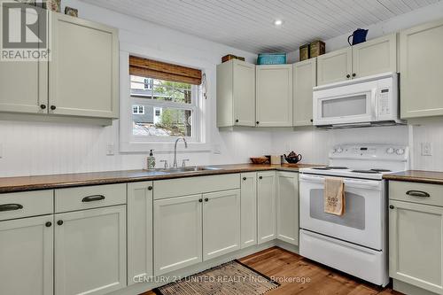 63 Fire Route 354, Galway-Cavendish And Harvey, ON - Indoor Photo Showing Kitchen With Double Sink