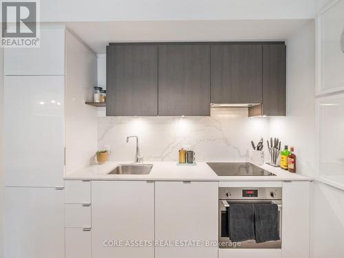103 - 161 Roehampton Avenue, Toronto, ON - Indoor Photo Showing Kitchen With Upgraded Kitchen