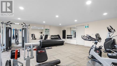 1611 Banwell Unit# 210, Windsor, ON - Indoor Photo Showing Gym Room