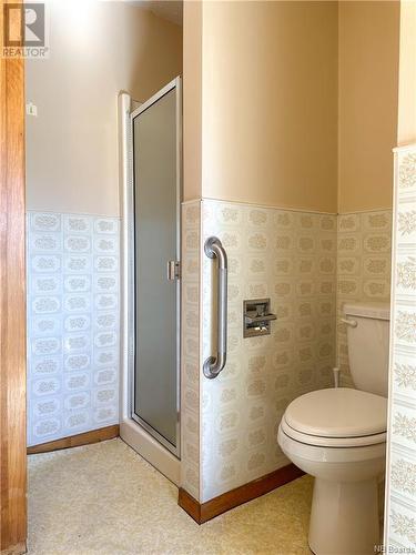 159 Route 190, Perth-Andover, NB - Indoor Photo Showing Bathroom
