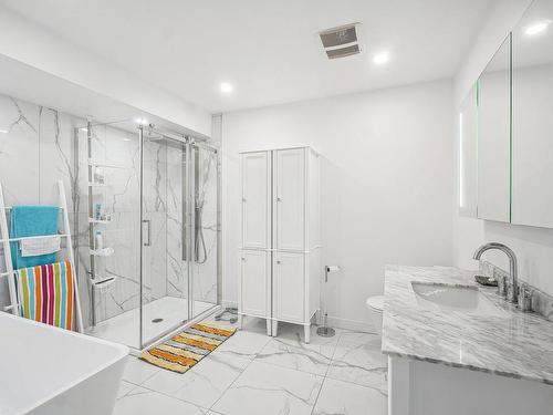 Salle de bains - 84  - 101 Rue Bruno-Dion, Blainville, QC - Indoor Photo Showing Bathroom
