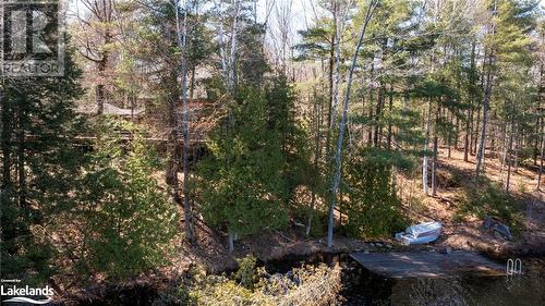 1141 Bass Lake Road, Port Carling, ON - Outdoor With View