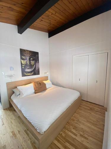 Master bedroom - 24 Crois. Du Domaine-Namur, Saint-Hippolyte, QC 