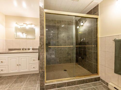 Salle de bains - 832 Rue Beauchemin, Repentigny (Repentigny), QC - Indoor Photo Showing Bathroom