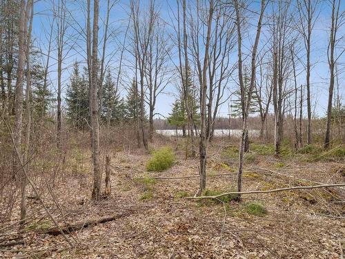 Land/Lot - Rue Non Disponible-Unavailable, Kazabazua, QC 