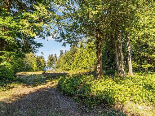 164 Larkdowne Rd, Qualicum Beach, BC - Outdoor With View