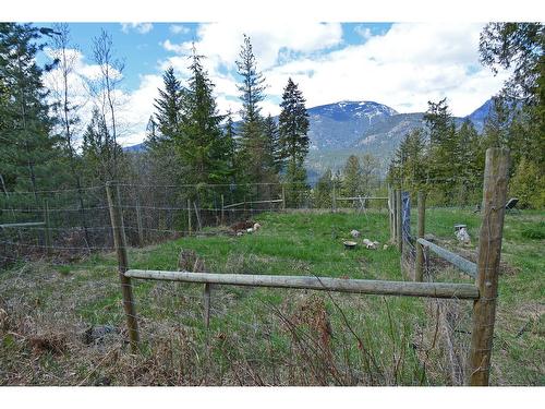 8907 Martens Road, Slocan, BC - Outdoor With View
