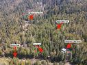 8907 Martens Road, Slocan, BC  -  With View 