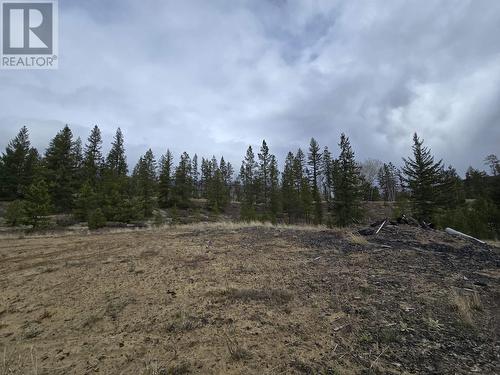 Lot 1 N 5 Highway, Valemount, BC 