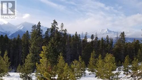 Lot 1 N 5 Highway, Valemount, BC 