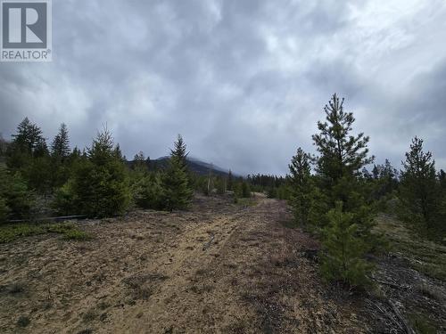 Lot 2 N 5 Highway, Valemount, BC 