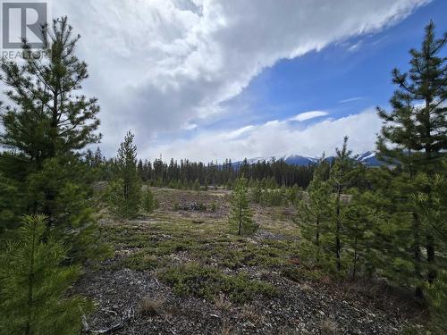 Lot 2 N 5 Highway, Valemount, BC 