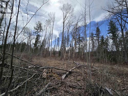 Lot 2 N 5 Highway, Valemount, BC 