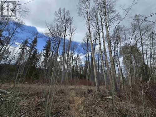 Lot 2 N 5 Highway, Valemount, BC 