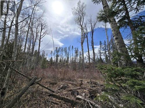 Lot 2 N 5 Highway, Valemount, BC 