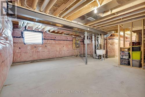 3895 Auckland Ave, London, ON - Indoor Photo Showing Basement
