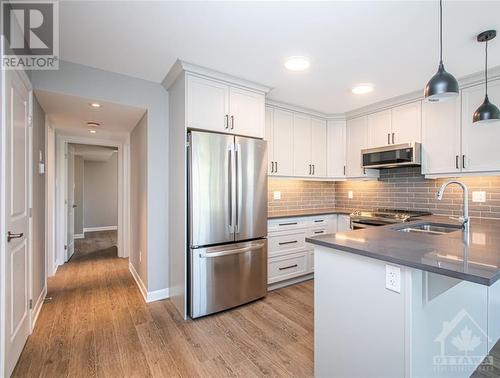805 Maplewood Avenue Unit#B, Ottawa, ON - Indoor Photo Showing Kitchen With Double Sink