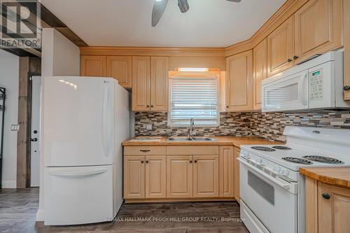 113 Henry St, Barrie, ON - Indoor Photo Showing Kitchen With Double Sink