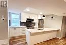 805 Maplewood Avenue Unit#B, Ottawa, ON  - Indoor Photo Showing Kitchen With Stainless Steel Kitchen With Double Sink 