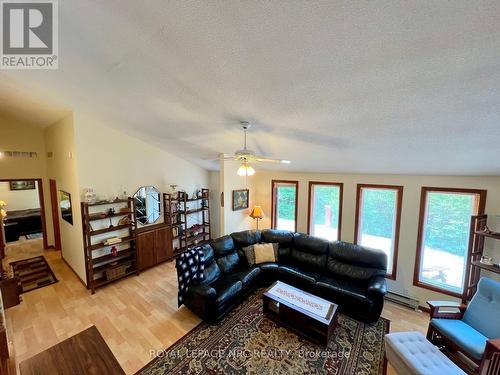 41 Reeves Drive, Parry Sound Remote Area, ON - Indoor Photo Showing Living Room
