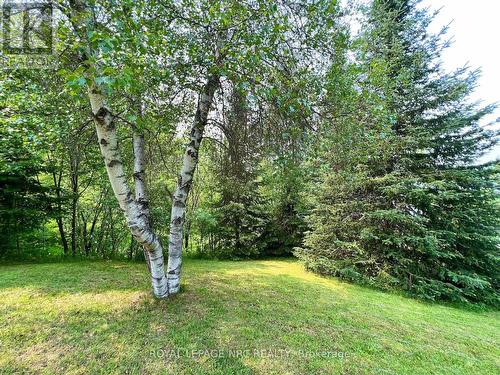 41 Reeves Drive, Parry Sound Remote Area, ON - Outdoor
