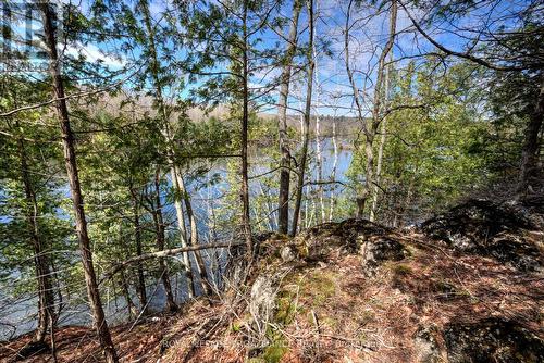 25 Cedar Lane, South Frontenac, ON - Outdoor With View
