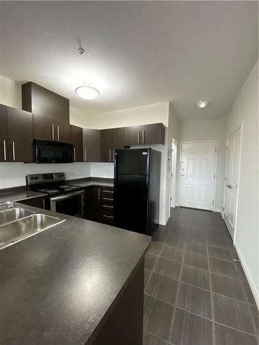 3200 Regional Road 56|Unit #308, Binbrook, ON - Indoor Photo Showing Kitchen With Double Sink