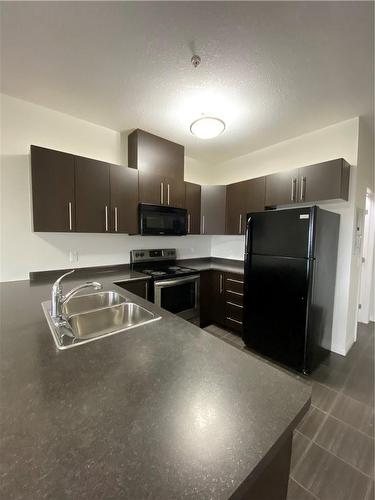 3200 Regional Road 56|Unit #308, Binbrook, ON - Indoor Photo Showing Kitchen With Double Sink