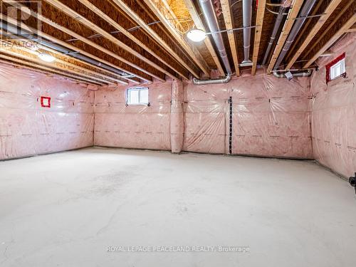 11 Grinnel Road, East Gwillimbury, ON - Indoor Photo Showing Basement