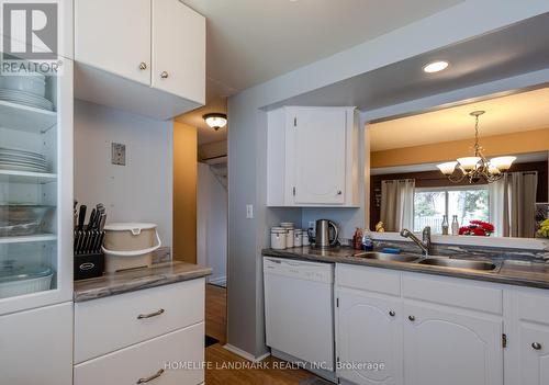 #101 -50 Lakeshore Rd S, St. Catharines, ON - Indoor Photo Showing Kitchen With Double Sink