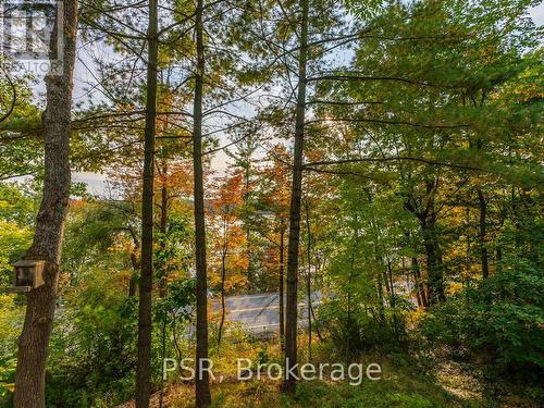 1-1356 & 1357 Peninsula Rd, Muskoka Lakes, ON - Outdoor With View