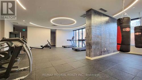 703 - 219 Dundas Street E, Toronto, ON - Indoor Photo Showing Gym Room