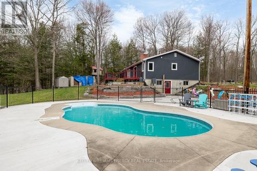 8816 Gilmour Rd, Port Hope, ON - Outdoor With In Ground Pool With Deck Patio Veranda With Backyard