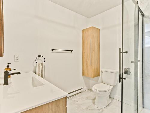 Salle de bains - 58 Rue Mount, Sherbrooke (Lennoxville), QC - Indoor Photo Showing Bathroom