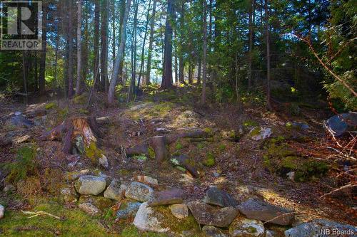 40 Rothesay Park Road, Rothesay, NB - Outdoor With View