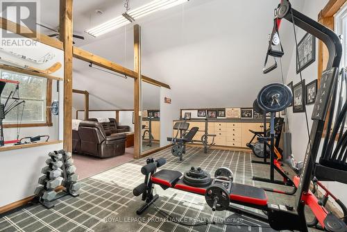 489 Ashley St, Belleville, ON - Indoor Photo Showing Gym Room