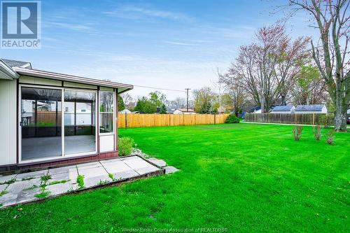 6520 Taylor Avenue, Comber, ON - Outdoor With Backyard