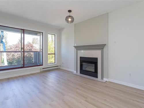 311-545 Manchester Rd, Victoria, BC - Indoor Photo Showing Living Room With Fireplace
