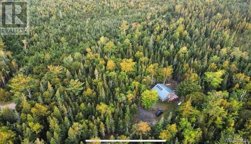 - Mcginnis Road, Erb Settlement, NB - Outdoor With View