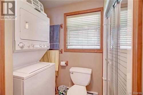 106 Cattail Lane, Cambridge-Narrows, NB - Indoor Photo Showing Laundry Room