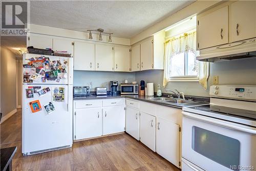 16 Mcleod Hill Road, Fredericton, NB - Indoor Photo Showing Kitchen With Double Sink